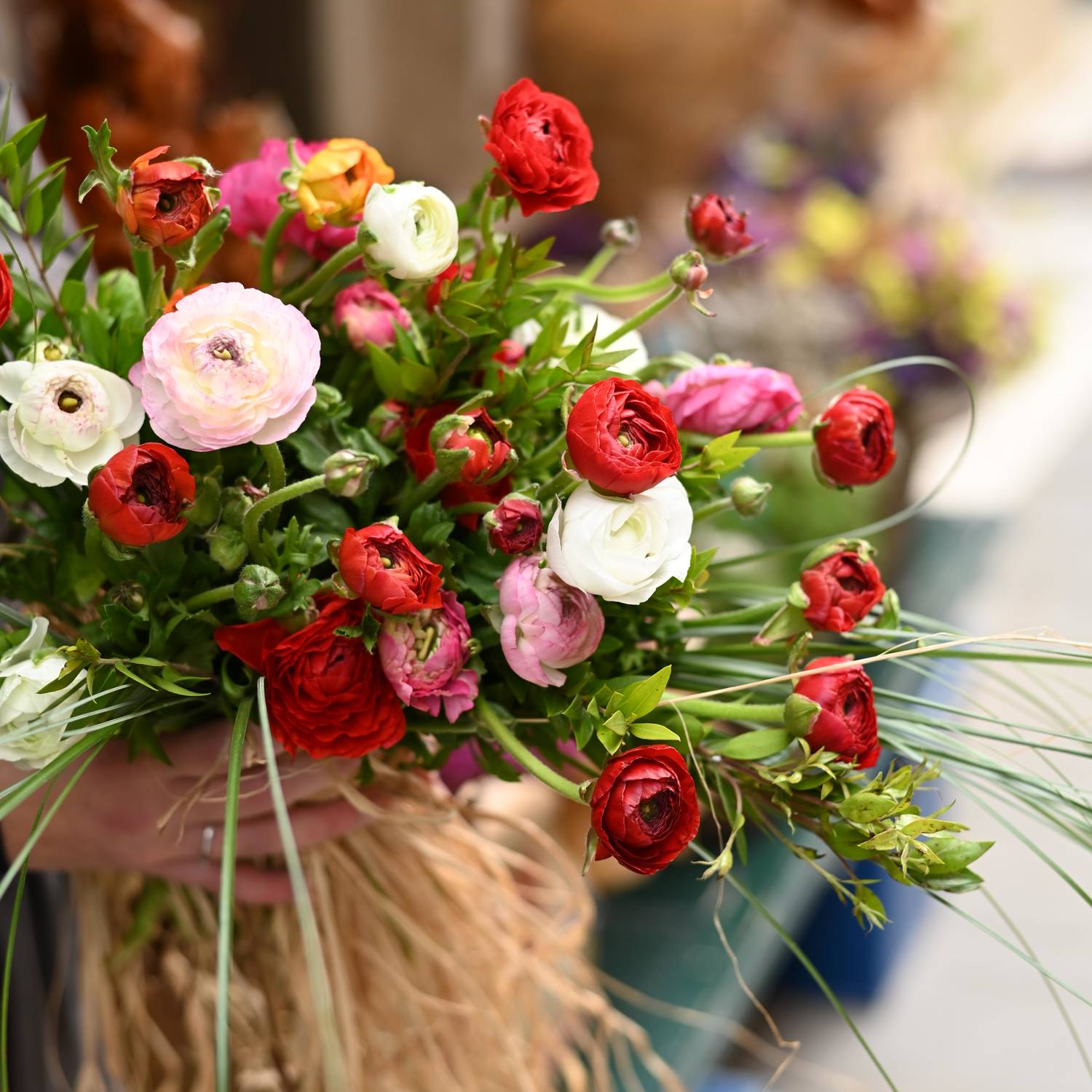 Color Love - Image 4