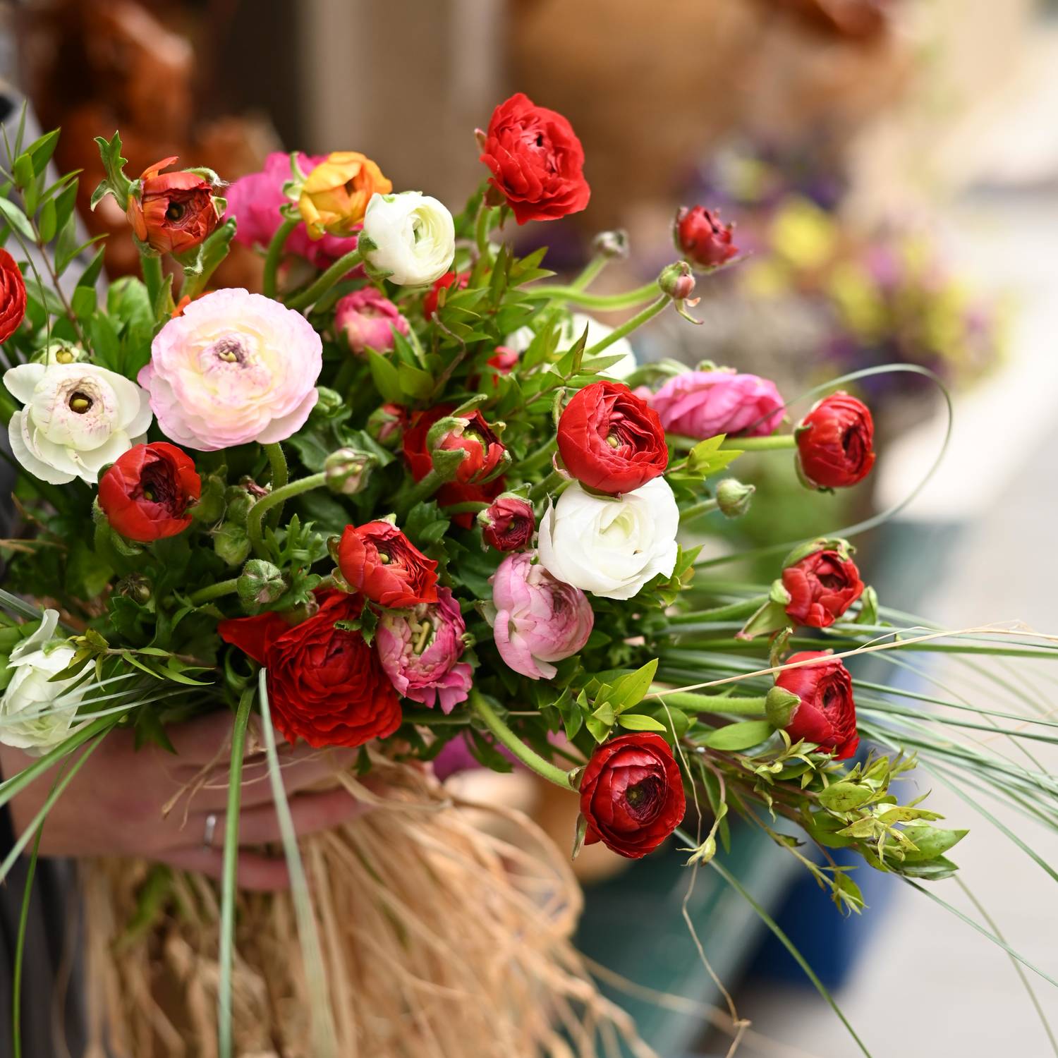 Color Love - Image 3