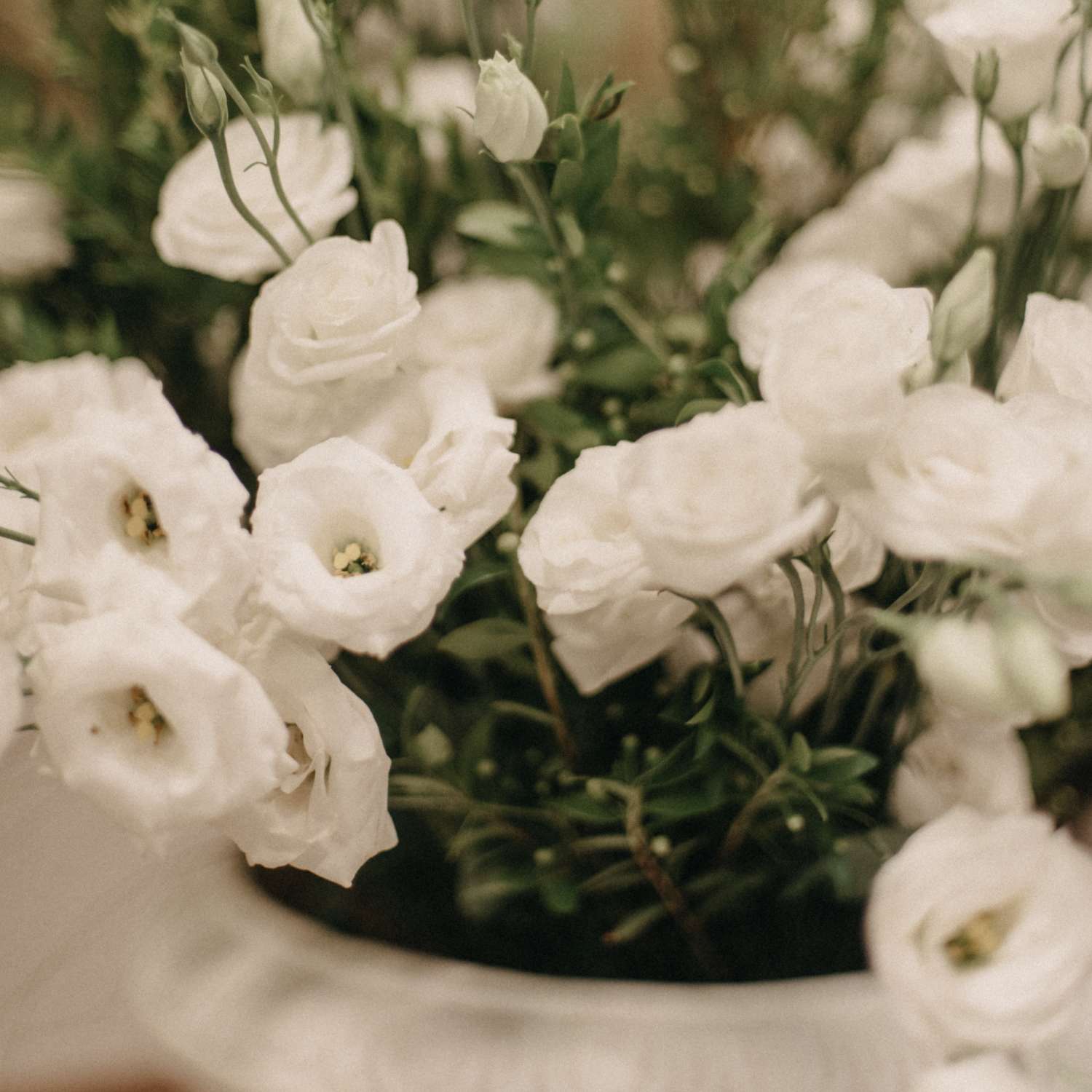 Επιλογή Ανθοπώλη 2