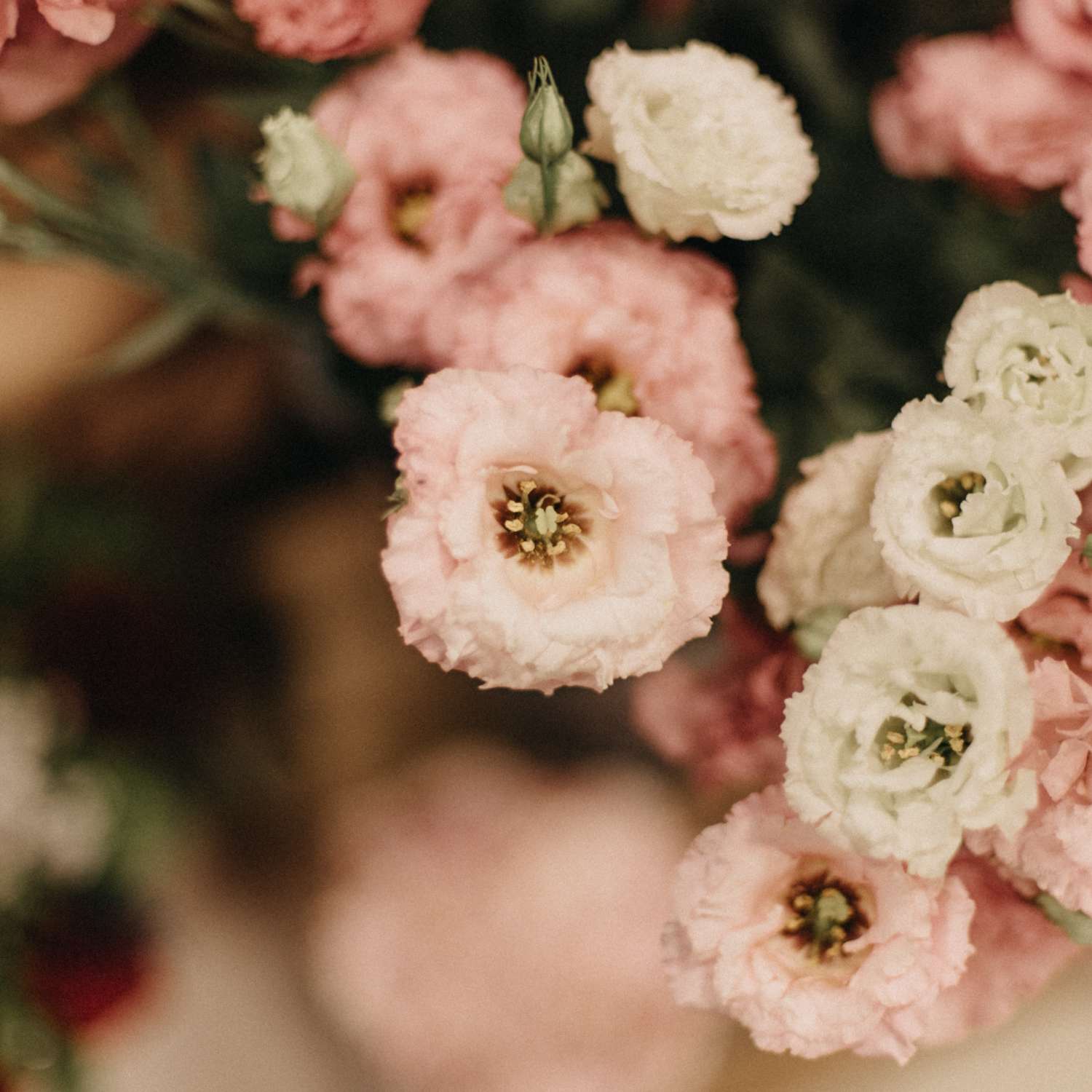 Επιλογή Ανθοπώλη 2 - Image 3