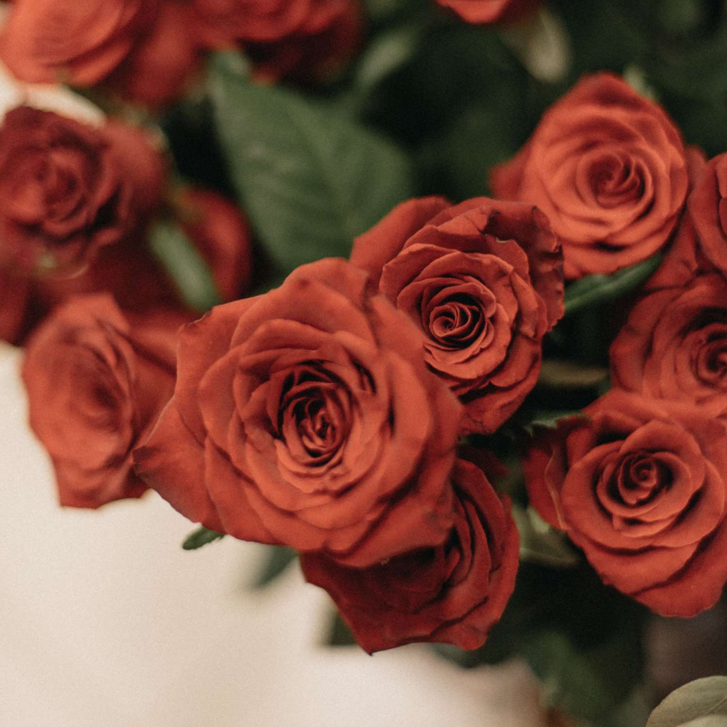 Επιλογή Ανθοπώλη 2 - Image 4