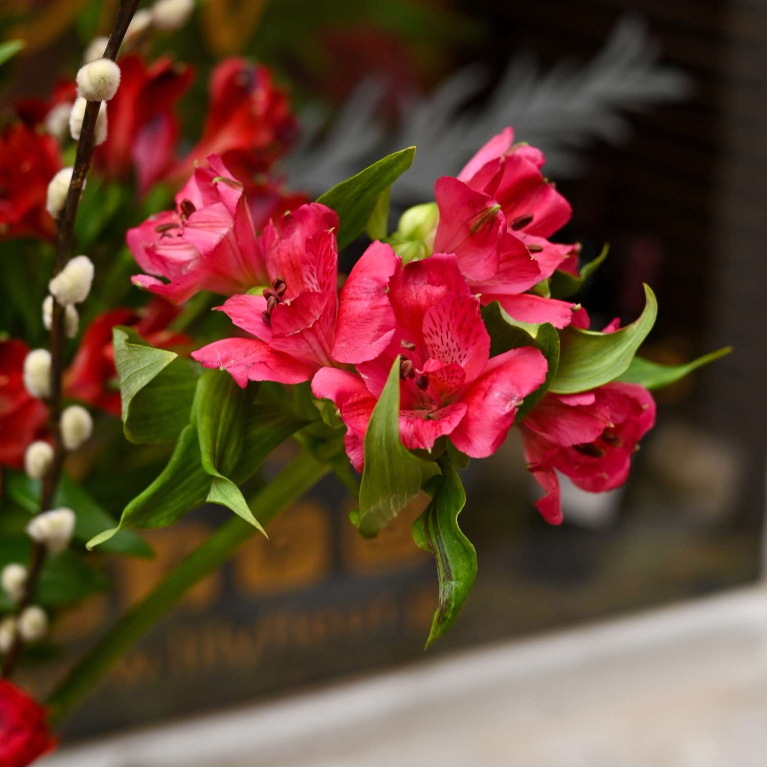 Scarlet & Rose - Image 5